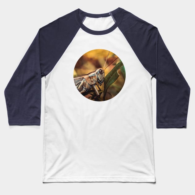 Autumn Grasshopper Macro Photograph Circle Crop Baseball T-Shirt by love-fi